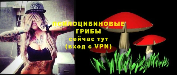 амф Алексин