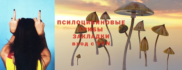 амф Алексин